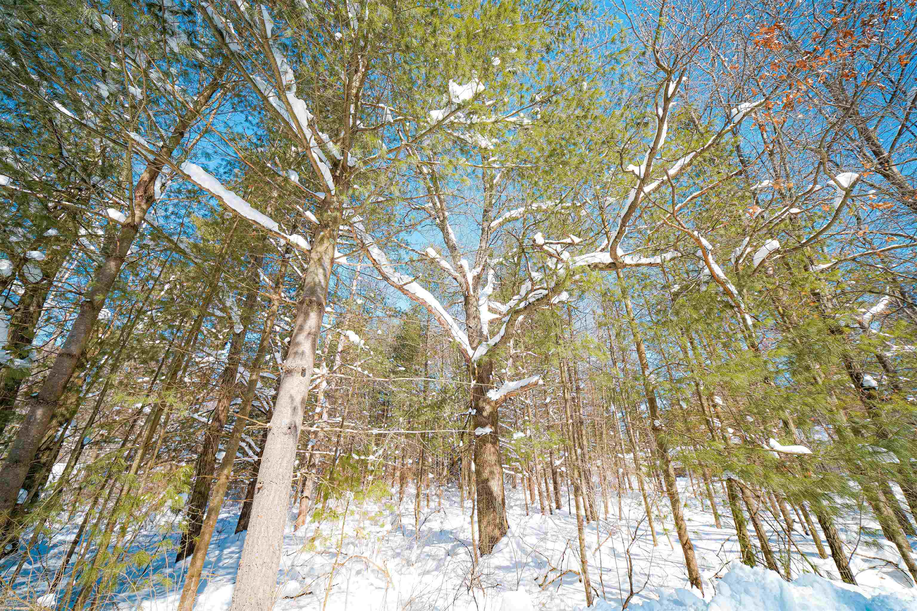 Lot 9 Center Road Merrill, WI 54452 - Photo 1 of 1 Gallery Image 1