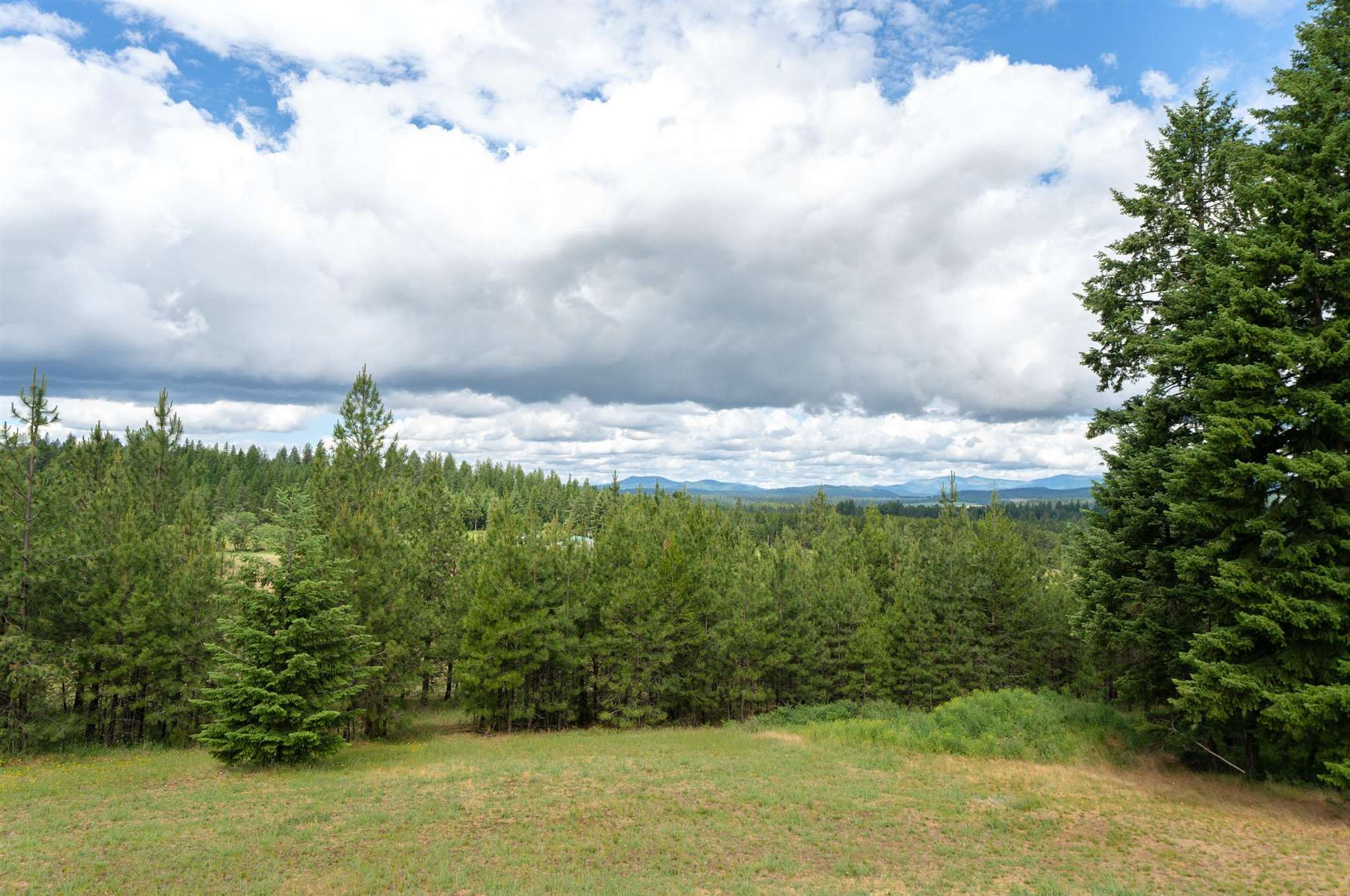39108 North Madison Road Elk, WA 99009 - Photo 38 of 46