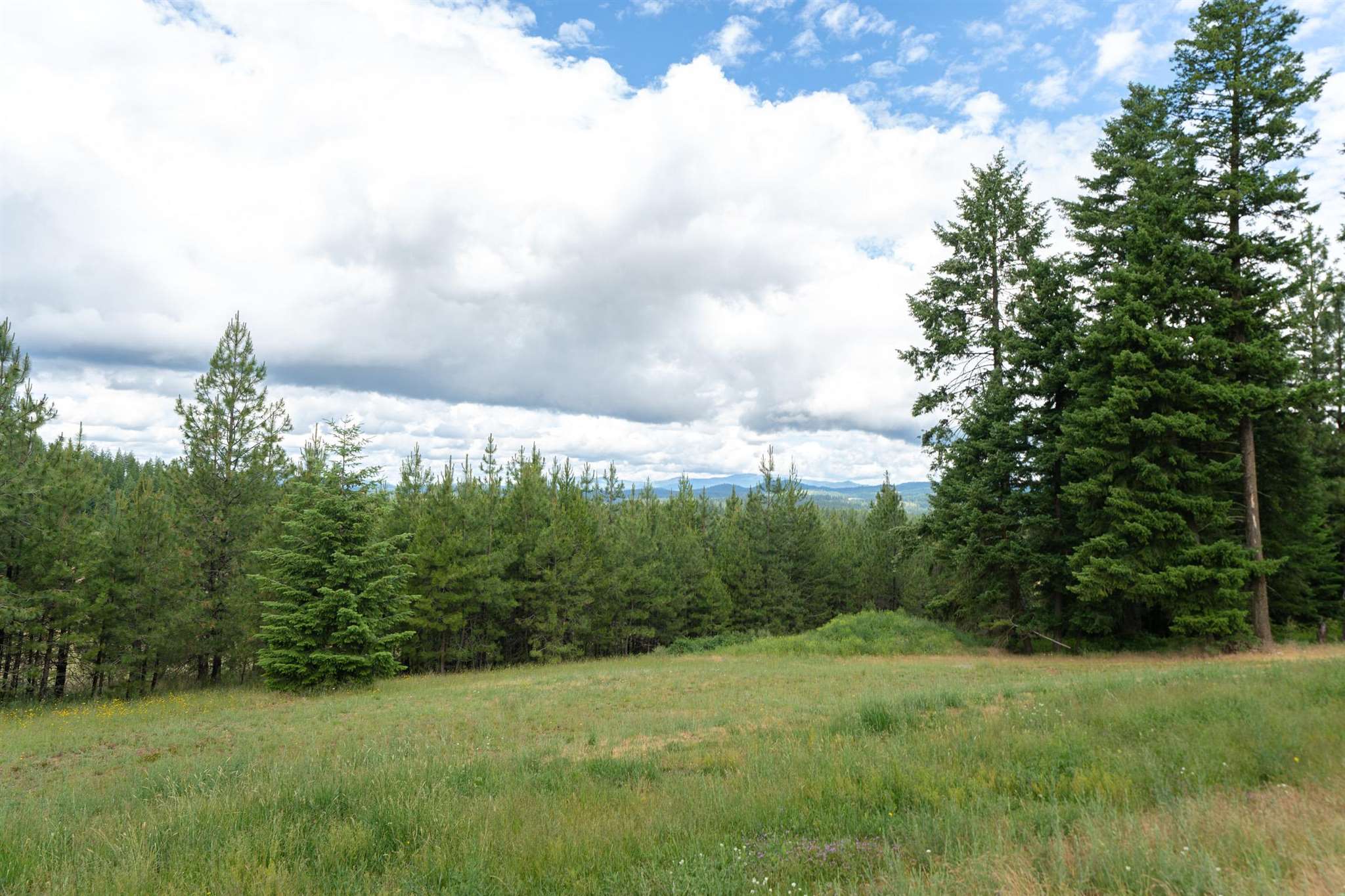39108 North Madison Road Elk, WA 99009 - Photo 42 of 46