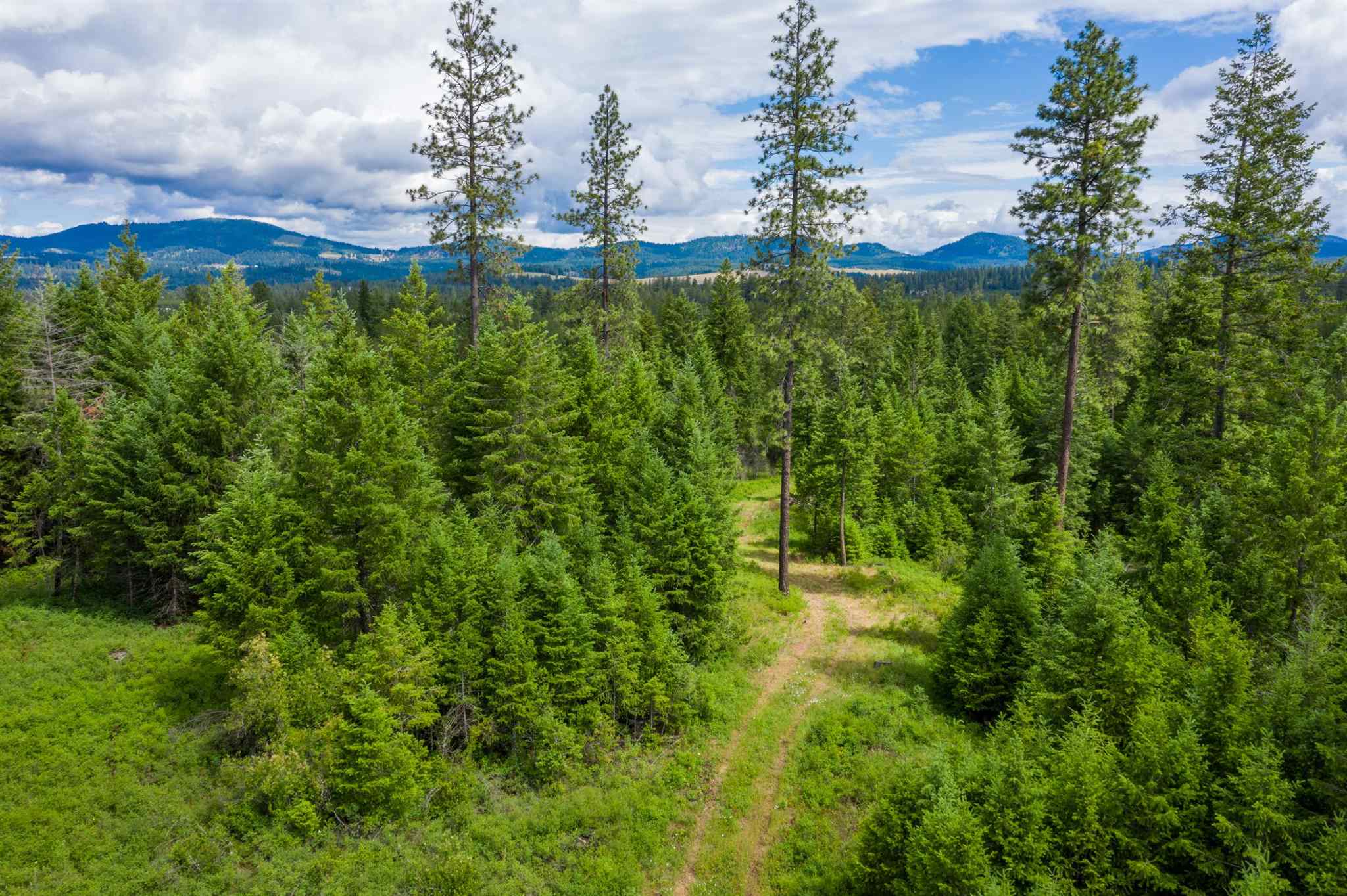 39108 North Madison Road Elk, WA 99009 - Photo 45 of 46