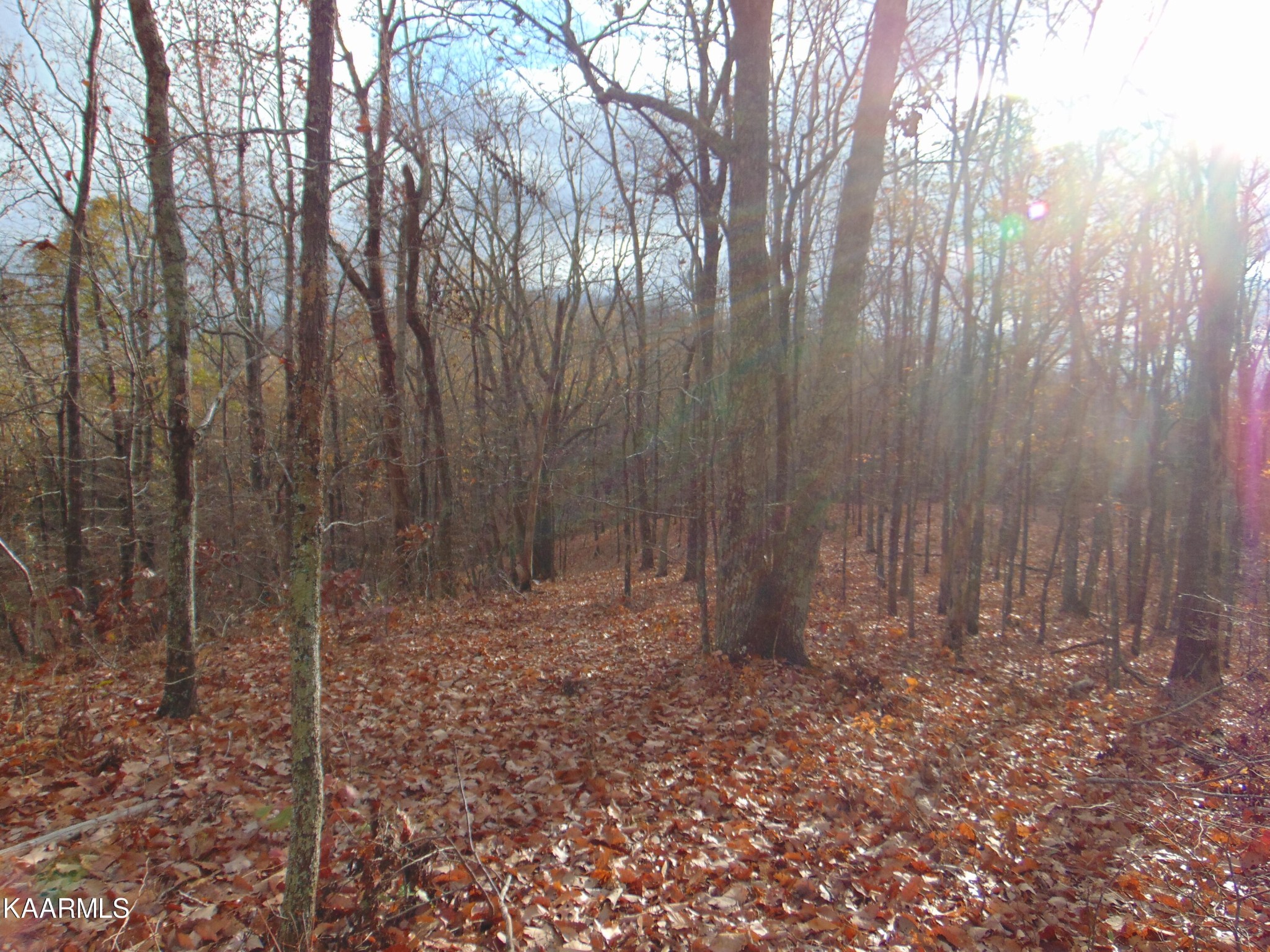 1056 County Road 179 Decatur, TN 37322 - Photo 10 of 24
