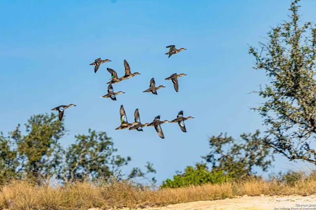 a view of ocean with beach