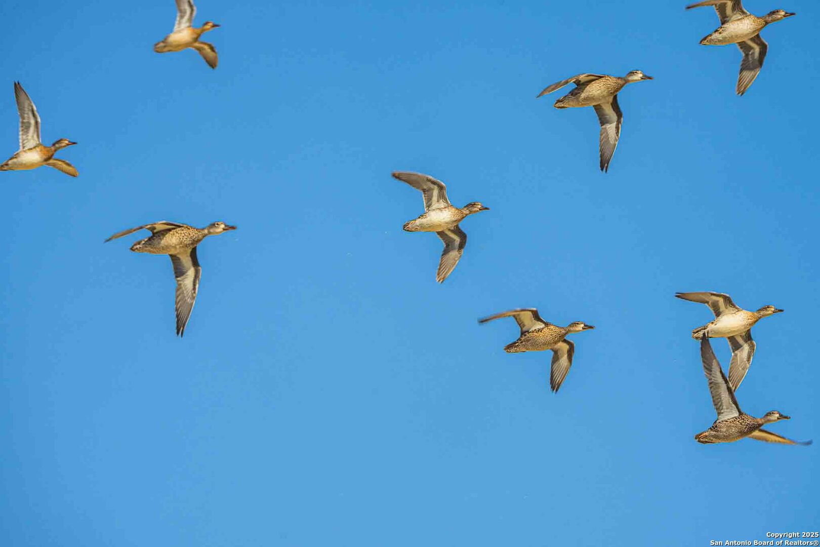 8300 Scr 314 Rocksprings, TX 78880 - Photo 4 of 74