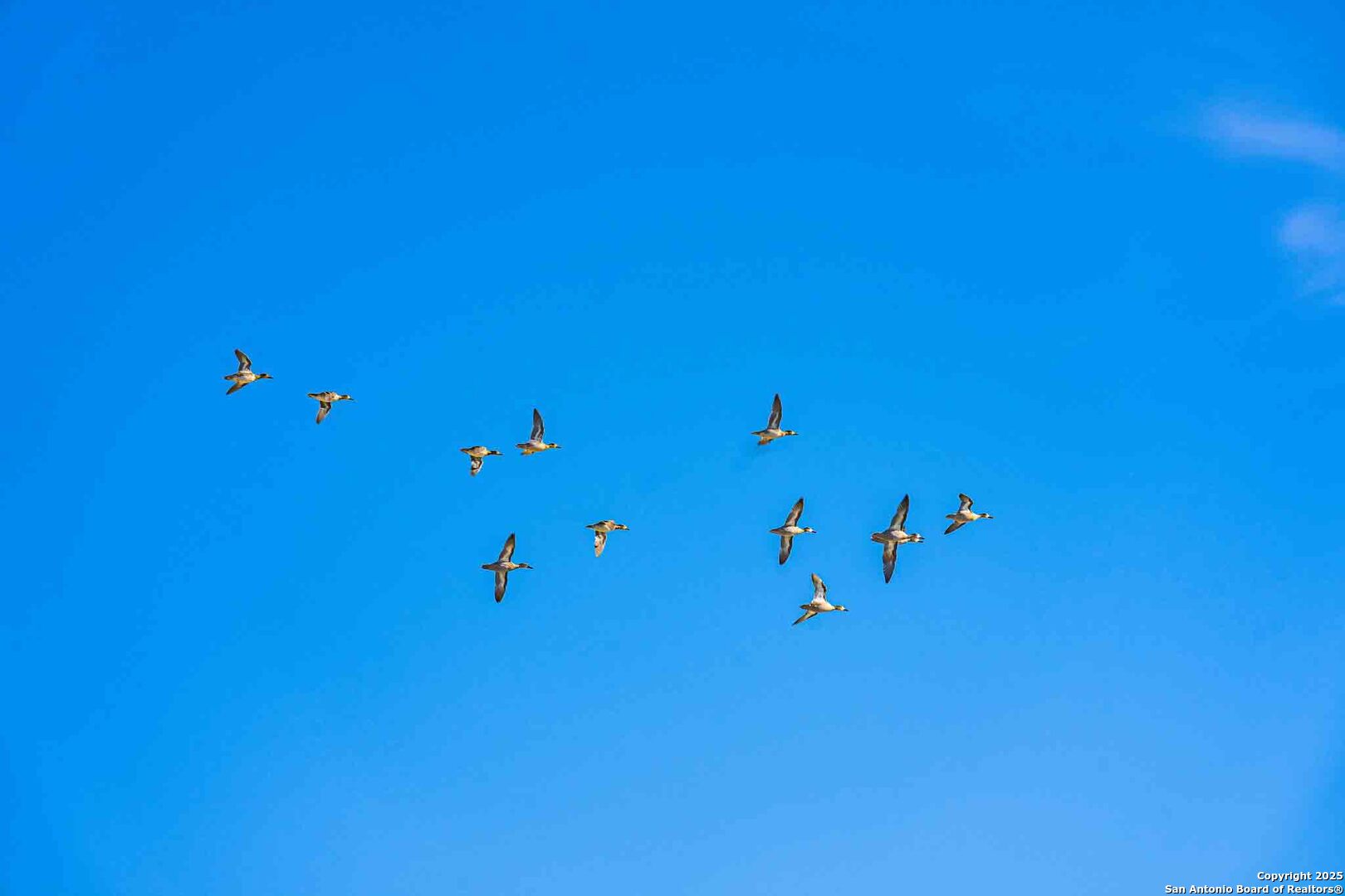 8300 Scr 314 Rocksprings, TX 78880 - Photo 45 of 74