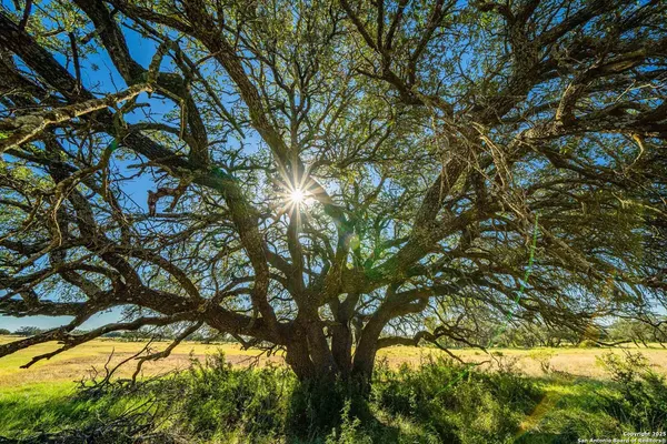 $28,950,000 | 8300 Scr 314, Rocksprings, TX 78880