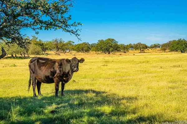$28,950,000 | 8300 Scr 314, Rocksprings, TX 78880