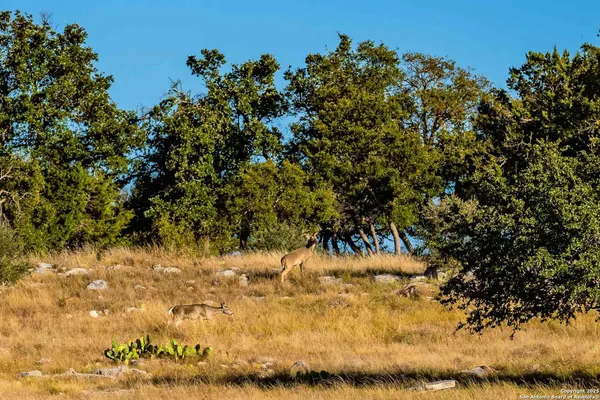 $28,950,000 | 8300 Scr 314, Rocksprings, TX 78880