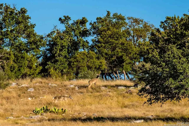 $28,950,000 | 8300 Scr 314, Rocksprings, TX 78880