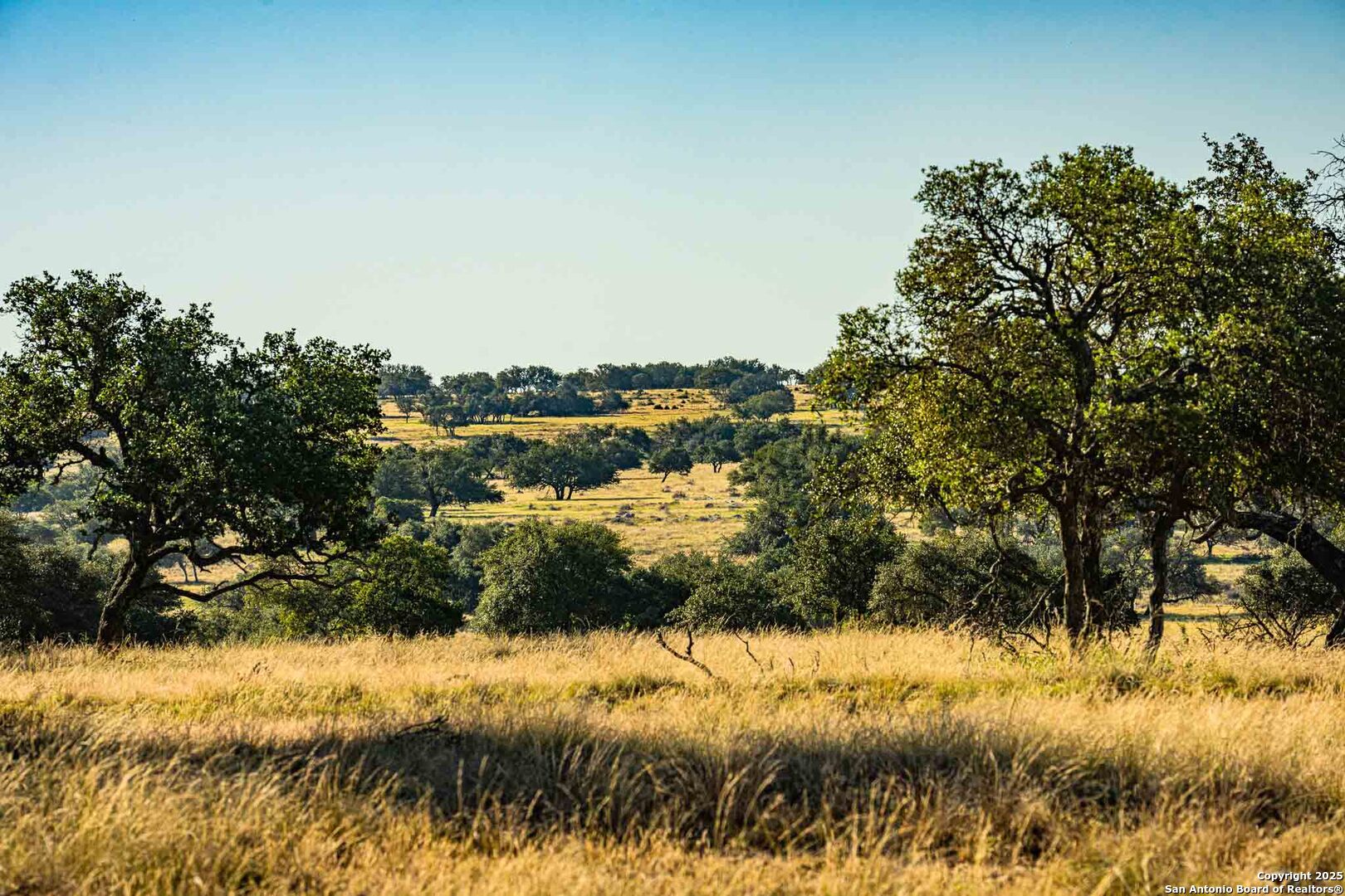 8300 Scr 314 Rocksprings, TX 78880 - Photo 66 of 74