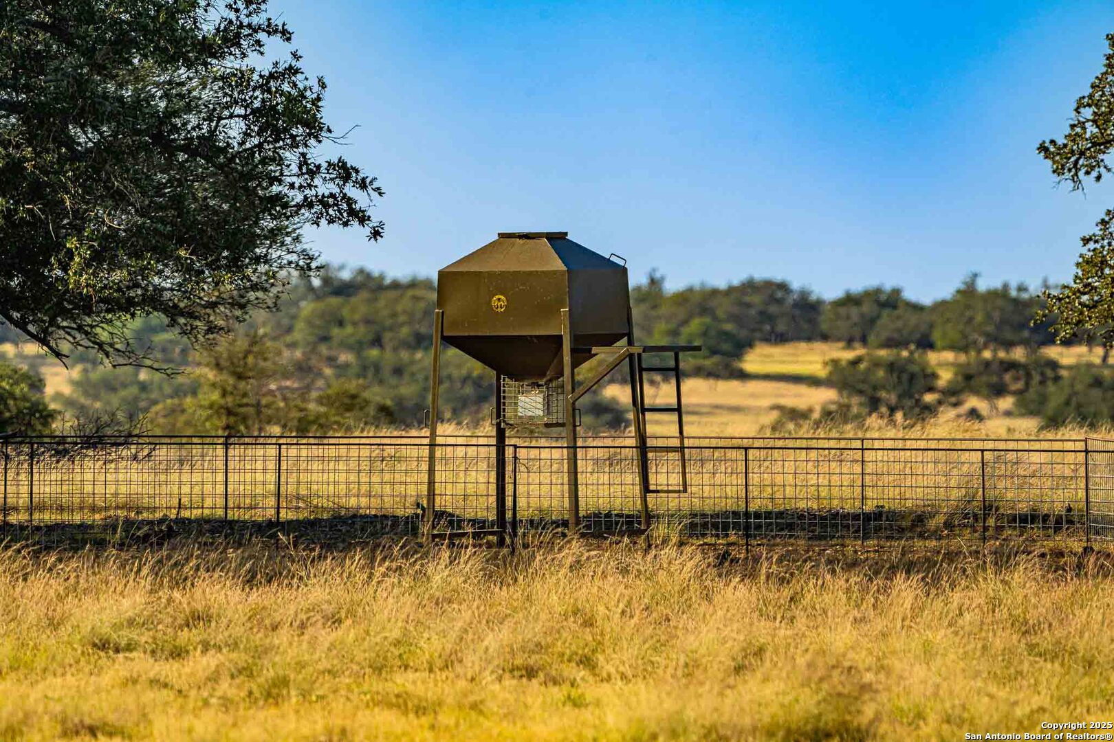 8300 Scr 314 Rocksprings, TX 78880 - Photo 68 of 74 a view of a garden