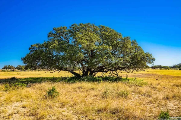 $28,950,000 | 8300 Scr 314, Rocksprings, TX 78880