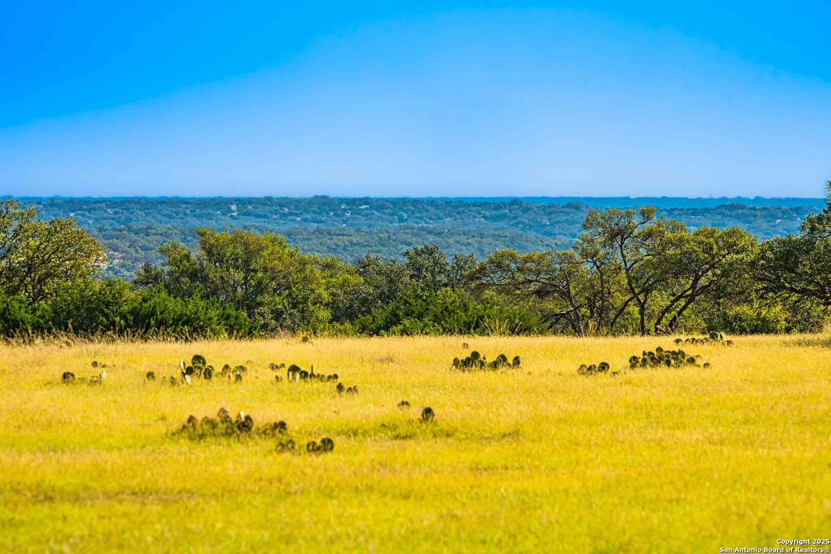 8300 Scr 314 Rocksprings, TX 78880 - Photo 10 of 74 a view of ocean view