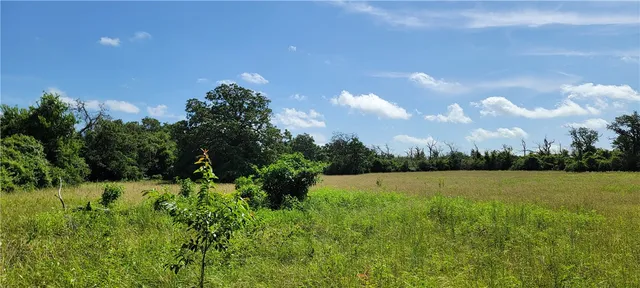 a view of field and trees in the background