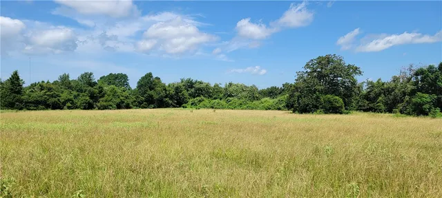 a view of a golf course with a garden