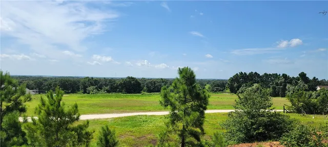 a view of a yard with a tree