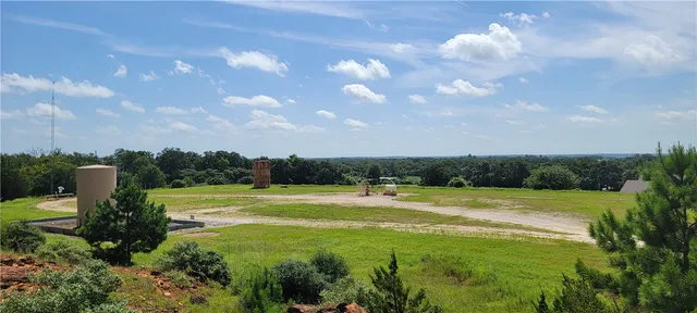 a view of a big yard with swimming pool and green space