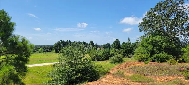 a view of a field with a tree in the background
