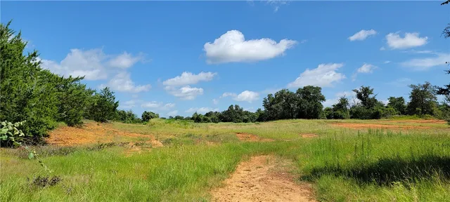a view of a pathway both side of grassy field with trees