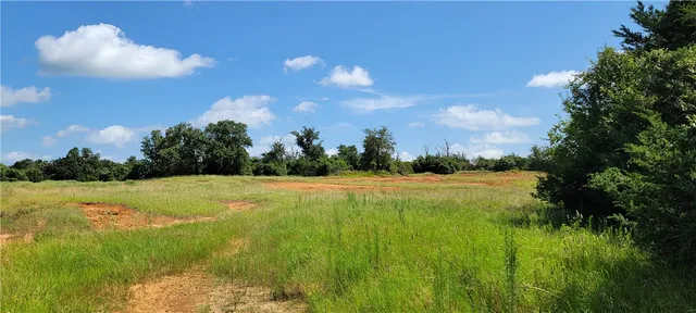 a view of field with tall trees