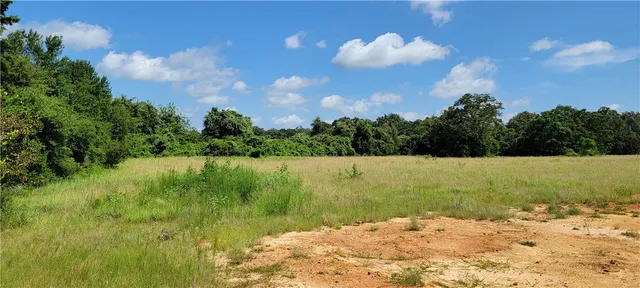 a view of a garden with basketball court