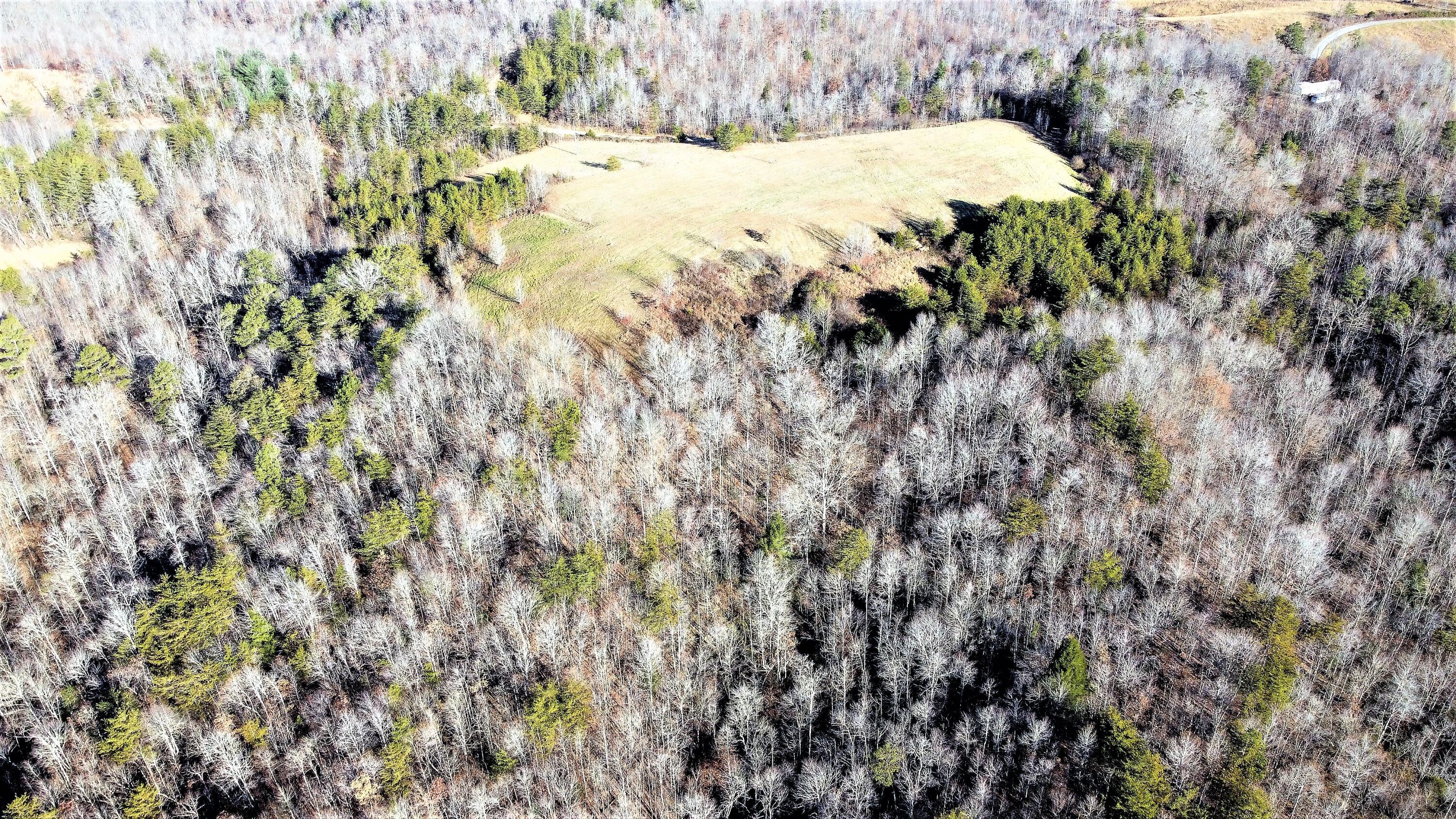 9999 Rocky Point School Road Williamsburg, KY 40769 - Photo 4 of 22 DJI_0373