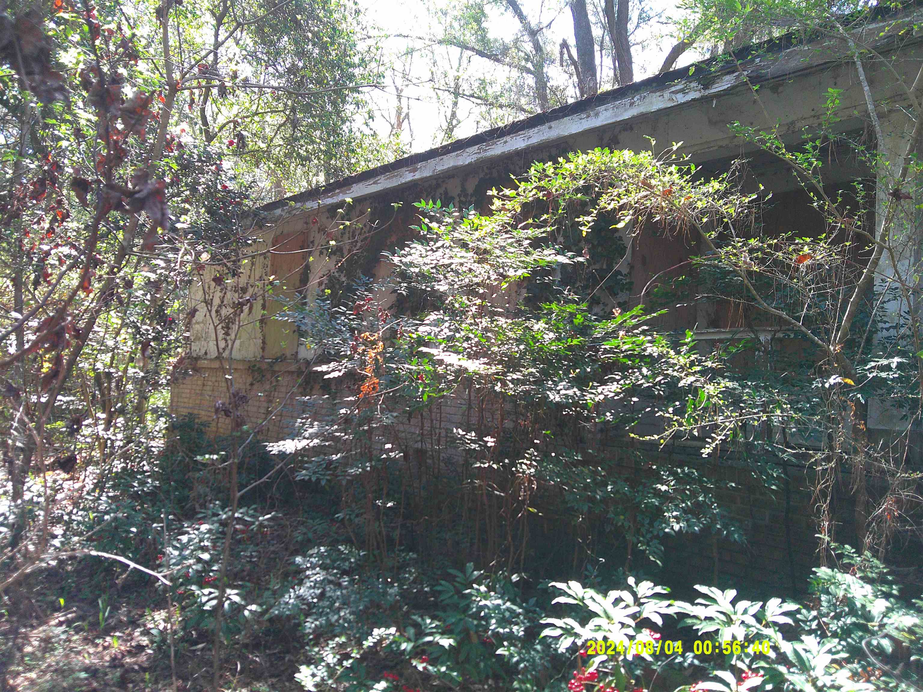 7091 Thomasville Road Tallahassee, FL 32312 - Photo 8 of 51