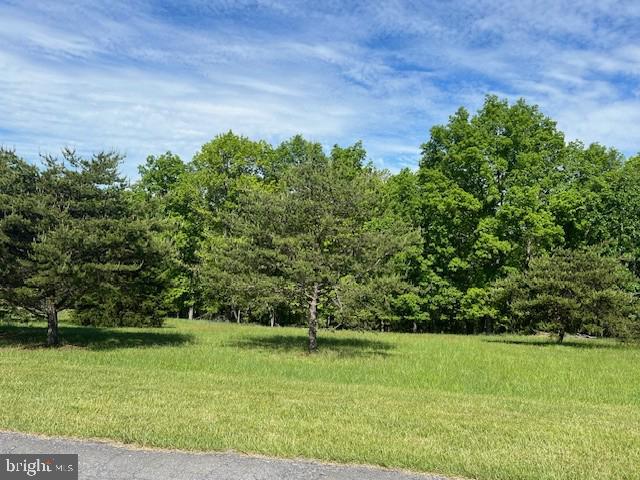 Top Meadow Lane Berkeley Springs, WV 25411 - Photo 4 of 8 Gallery Image 4