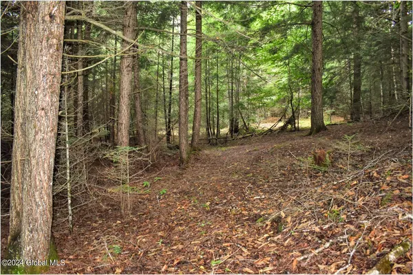 $89,500 | 3-4 Adirondack Heights Road, Chestertown, NY 12817