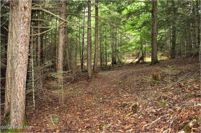 $89,500 | 3-4 Adirondack Heights Road, Chestertown, NY 12817