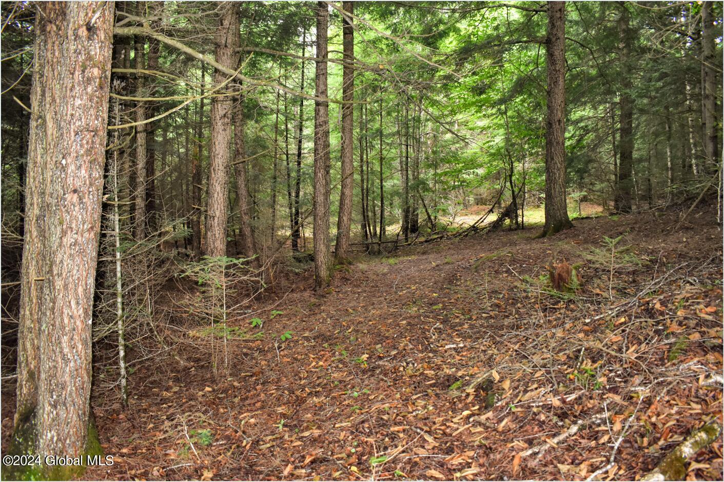 3-4 Adirondack Heights Road Chestertown, NY 12817 - Photo 11 of 33 tt6