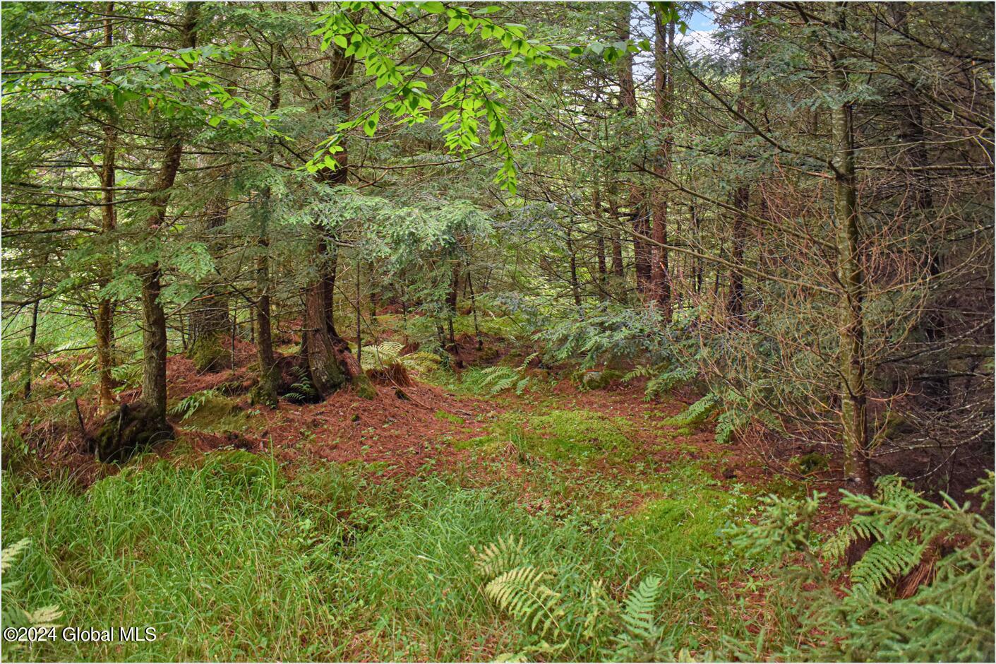 3-4 Adirondack Heights Road Chestertown, NY 12817 - Photo 11 of 33 tt3
