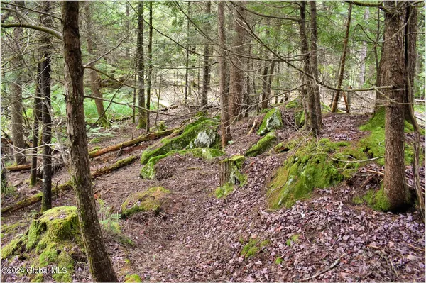 $89,500 | 3-4 Adirondack Heights Road, Chestertown, NY 12817