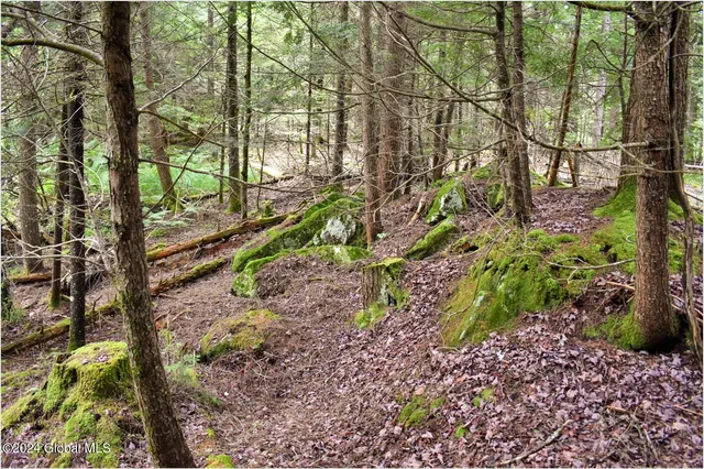 $89,500 | 3-4 Adirondack Heights Road, Chestertown, NY 12817