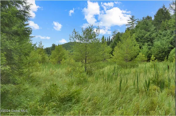 $89,500 | 3-4 Adirondack Heights Road, Chestertown, NY 12817