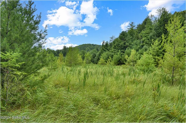 $89,500 | 3-4 Adirondack Heights Road, Chestertown, NY 12817