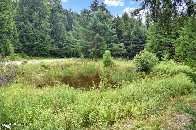 $89,500 | 3-4 Adirondack Heights Road, Chestertown, NY 12817