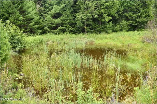 $89,500 | 3-4 Adirondack Heights Road, Chestertown, NY 12817