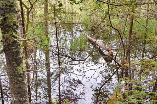 $89,500 | 3-4 Adirondack Heights Road, Chestertown, NY 12817