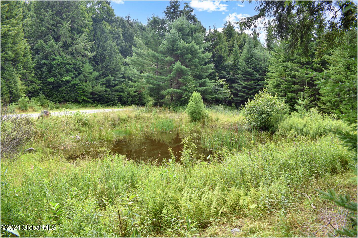 3-4 Adirondack Heights Road Chestertown, NY 12817 - Photo 19 of 33 tt5