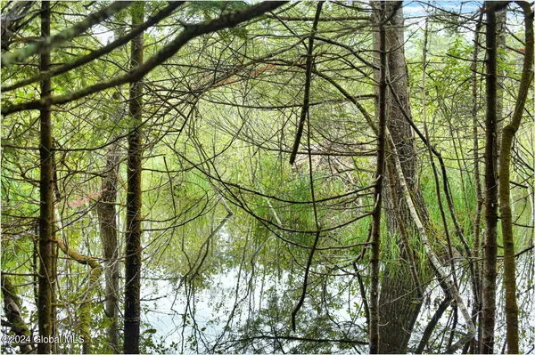 $89,500 | 3-4 Adirondack Heights Road, Chestertown, NY 12817