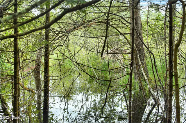 $89,500 | 3-4 Adirondack Heights Road, Chestertown, NY 12817