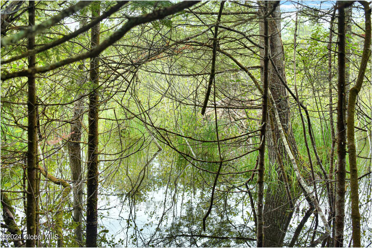 3-4 Adirondack Heights Road Chestertown, NY 12817 - Photo 19 of 33 tt12