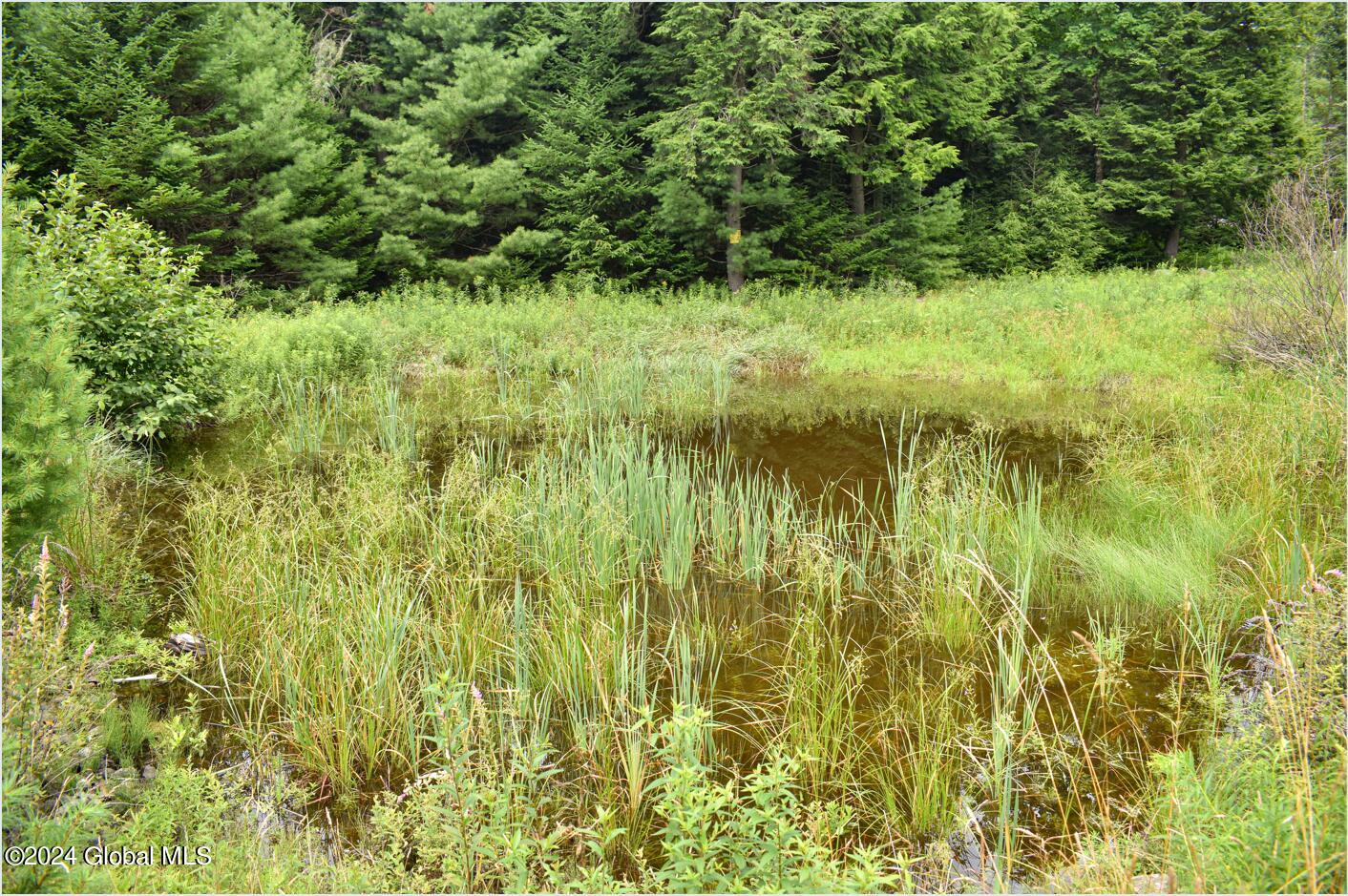 3-4 Adirondack Heights Road Chestertown, NY 12817 - Photo 20 of 33 tt4