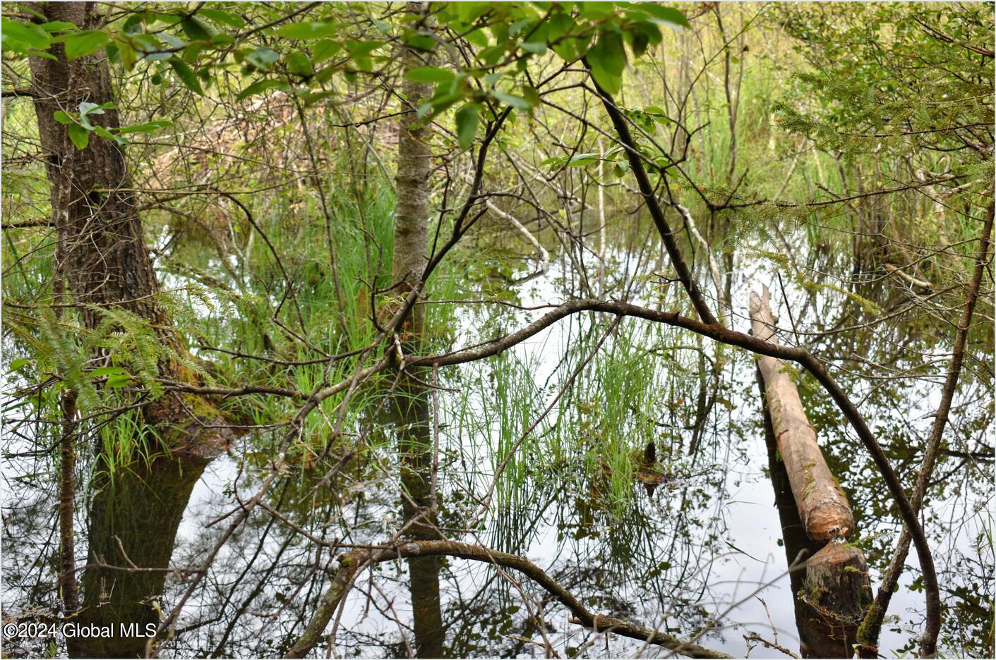 3-4 Adirondack Heights Road Chestertown, NY 12817 - Photo 20 of 33 tt13