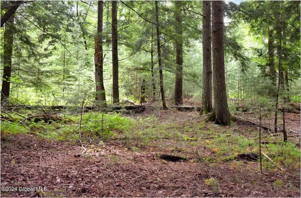 $89,500 | 3-4 Adirondack Heights Road, Chestertown, NY 12817