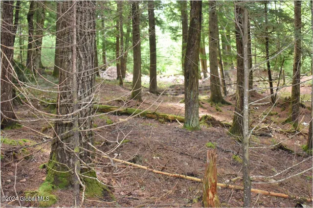 $89,500 | 3-4 Adirondack Heights Road, Chestertown, NY 12817