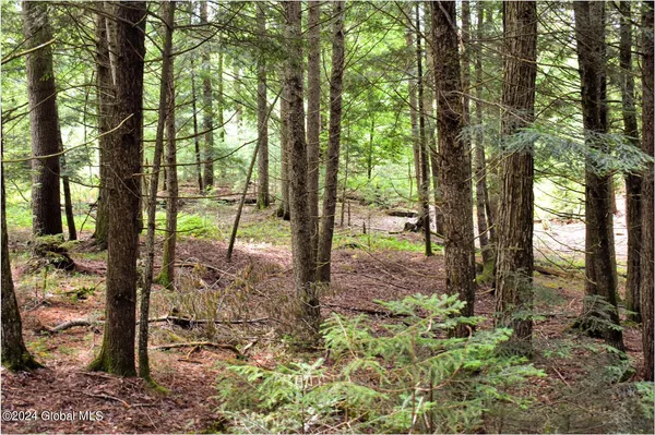 $89,500 | 3-4 Adirondack Heights Road, Chestertown, NY 12817