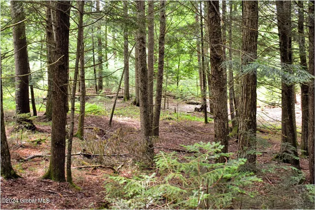 $89,500 | 3-4 Adirondack Heights Road, Chestertown, NY 12817