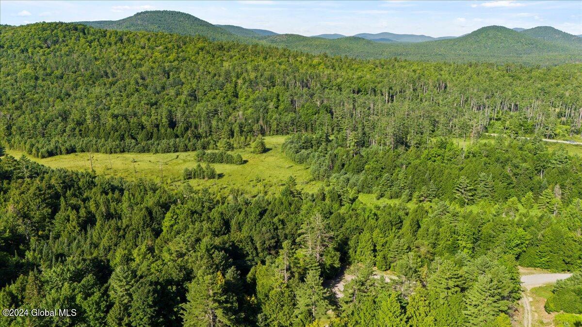 3-4 Adirondack Heights Road Chestertown, NY 12817 - Photo 24 of 33 02-DJI_20240719090708_0141_D