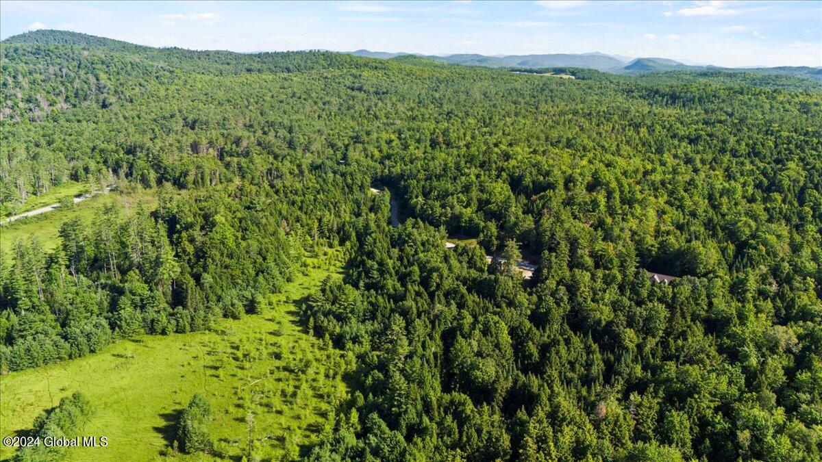 3-4 Adirondack Heights Road Chestertown, NY 12817 - Photo 25 of 33 06-DJI_20240719090828_0153_D